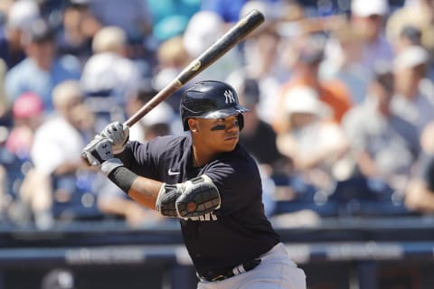 Thairo Estrada #71 of the New York Yankees (Photo by Michael Reaves/Getty Images)