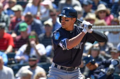 FORT MYERS, FL – MARCH 22: Jacoby Ellsbury #22 of the New York Yankees at bat in the first inning during the spring training game between the Minnesota Twins and the New York Yankees at Hammond Stadium on March 22, 2018 in Fort Myers, Florida. (Photo by B51/Mark Brown/Getty Images)