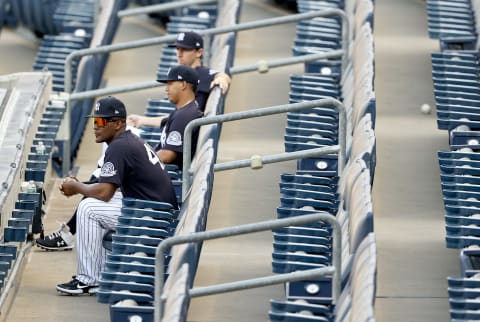 Yankees sit in the stands (Photo by Elsa/Getty Images)