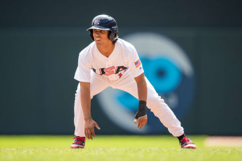 Future New York Yankees catcher Anthony Seigler (Photo by Brace Hemmelgarn/Getty Images)