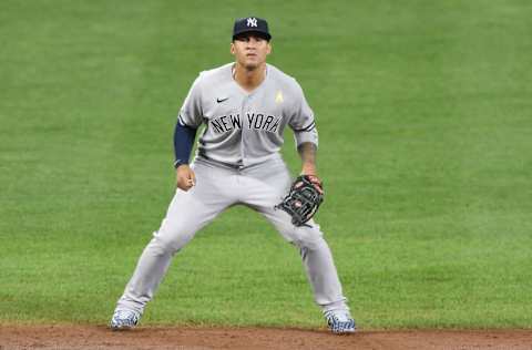 Yankees SS Gleyber Torres (Photo by Mitchell Layton/Getty Images)