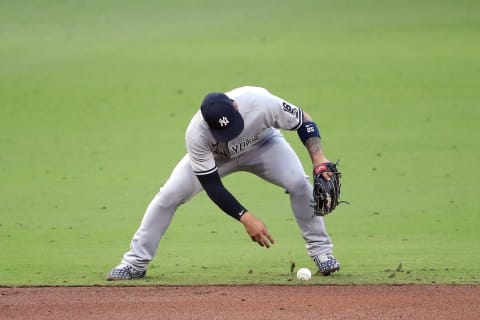 Gleyber Torres #25 of the New York Yankees (Photo by Sean M. Haffey/Getty Images)