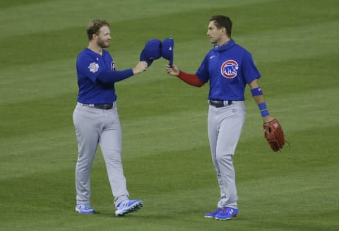 Albert Almora Jr. #5 of the Chicago Cubs (Photo by Duane Burleson/Getty Images)