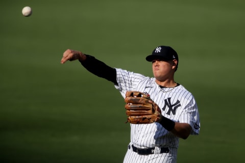 SAN DIEGO, CALIFORNIA – OCTOBER 07: Gio Urshela #29 of the New York Yankees warms up prior to Game Three of the American League Division Series against the Tampa Bay Rays at PETCO Park on October 07, 2020 in San Diego, California. (Photo by Christian Petersen/Getty Images)