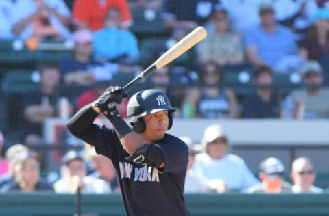 LAKELAND, FL – MARCH 01: Oswald Peraza #96 of the New York Yankees bats during the Spring Training game against the Detroit Tigers at Publix Field at Joker Marchant Stadium on March 1, 2020 in Lakeland, Florida. The Tigers defeated the Yankees 10-4. (Photo by Mark Cunningham/MLB Photos via Getty Images)