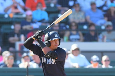 LAKELAND, FL - MARCH 01: Oswald Peraza #96 of the New York Yankees bats during the Spring Training game against the Detroit Tigers at Publix Field at Joker Marchant Stadium on March 1, 2020 in Lakeland, Florida. The Tigers defeated the Yankees 10-4. (Photo by Mark Cunningham/MLB Photos via Getty Images)