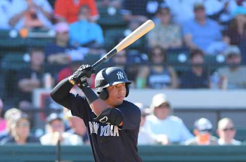 LAKELAND, FL - MARCH 01: Oswald Peraza #96 of the New York Yankees bats during the Spring Training game against the Detroit Tigers at Publix Field at Joker Marchant Stadium on March 1, 2020 in Lakeland, Florida. The Tigers defeated the Yankees 10-4. (Photo by Mark Cunningham/MLB Photos via Getty Images)