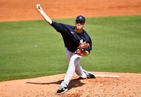 Michael King #73 of the New York Yankees (Photo by Mark Brown/Getty Images)