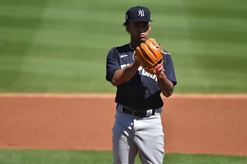 Deivi García #83 of the New York Yankees (Photo by Mark Brown/Getty Images)