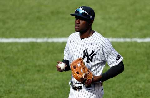 NEW YORK, NEW YORK - AUGUST 28: (NEW YORK DAILIES OUT) Estevan Florial #90 of the New York Yankees in action against the New York Mets at Yankee Stadium on August 28, 2020 in New York City. The Mets defeated the Yankees 6-4. (Photo by Jim McIsaac/Getty Images)