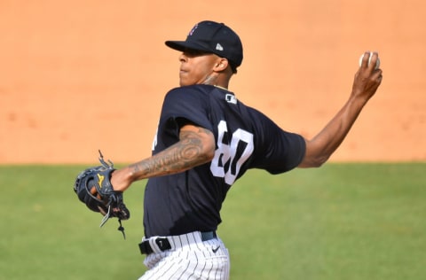 TAMPA, FLORIDA - MARCH 05: Luis Medina #80 of the New York Yankees delivers a pitch in the eighth inning against the Detroit Tigers in a spring training game at George M. Steinbrenner Field on March 05, 2021 in Tampa, Florida. (Photo by Mark Brown/Getty Images)