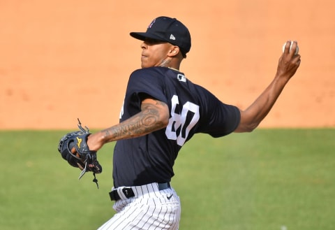 Luis Medina #80 of the New York Yankees (Photo by Mark Brown/Getty Images)