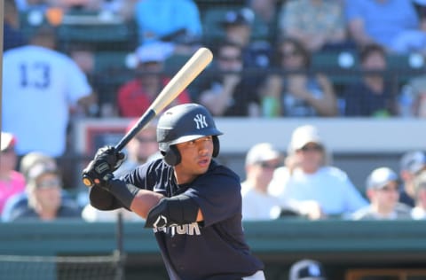 LAKELAND, FL - MARCH 01: Oswald Peraza #96 of the New York Yankees bats during the Spring Training game against the Detroit Tigers at Publix Field at Joker Marchant Stadium on March 1, 2020 in Lakeland, Florida. The Tigers defeated the Yankees 10-4. (Photo by Mark Cunningham/MLB Photos via Getty Images)