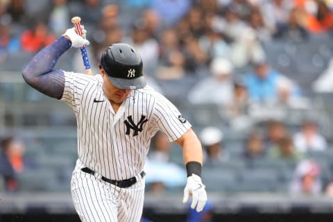 NEW YORK, NY – JULY 03: Luke Voit #59 of the New York Yankees (Photo by Rich Schultz/Getty Images)