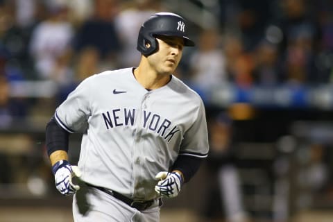 Anthony Rizzo #48 of the New York Yankees (Photo by Mike Stobe/Getty Images)