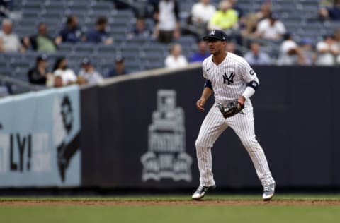 NEW YORK, NY - JUNE 3: Gleyber Torres #25 of the New York Yankees in action against the Tampa Bay Rays during the sixth inning at Yankee Stadium on June 3, 2021 in the Bronx borough of New York City. (Photo by Adam Hunger/Getty Images)