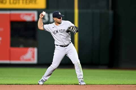 Gleyber Torres #25 of the New York Yankees (Photo by G Fiume/Getty Images)