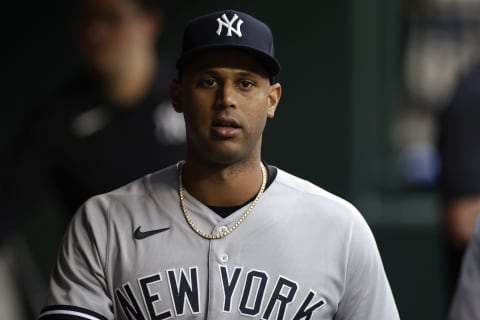 Aaron Hicks #31 of the New York Yankees (Photo by Adam Hunger/Getty Images)