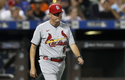 Manager Mike Shildt #8 of the St. Louis Cardinals (Photo by Jim McIsaac/Getty Images)