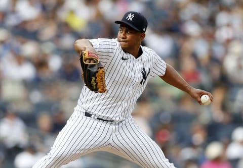 Wandy Peralta #58 of the New York Yankees (Photo by Jim McIsaac/Getty Images)