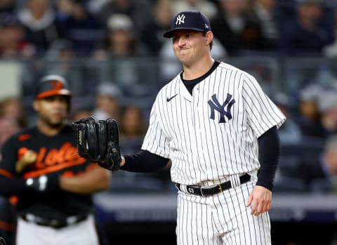 Zack Britton #53 of the New York Yankees (Photo by Elsa/Getty Images)