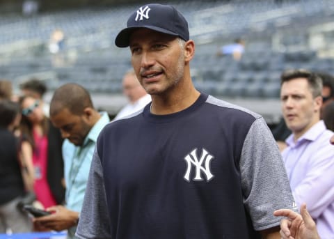 New York Yankees pitcher Andy Pettitte Mandatory Credit: Wendell Cruz-USA TODAY Sports