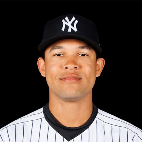 New York Yankees Blake Perkins poses for a 2022 MLB portrait. Mandatory Credit: MLB photos via USA TODAY Sports