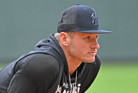 New York Yankees third baseman Josh Donaldson (28) Mandatory Credit: Peter Aiken-USA TODAY Sports