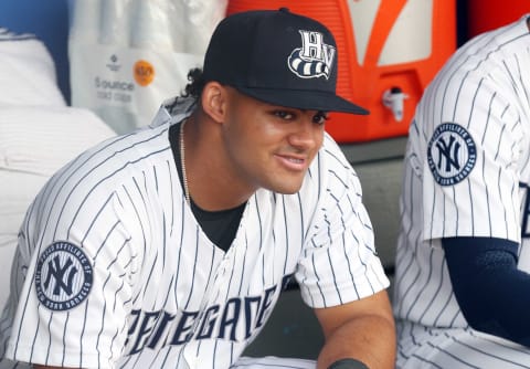 Hudson Valley Renegades outfielder Jasson Dominguez