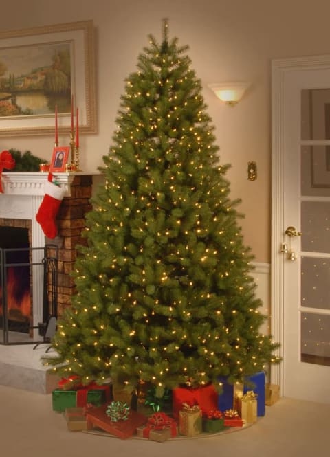 National Tree Company Pre-Lit 'Feel Real' Artificial Douglas Fir Christmas Tree