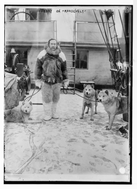 Robert Peary stands on the deck of the Roosevelt with a few of his Greenland sled dogs