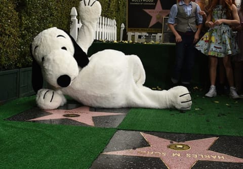 Snoopy has his own star on the Hollywood walk of fame, right next to Schulz's.