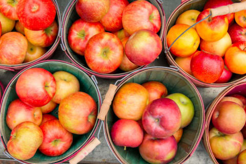 Fresh-picked apples in buckets