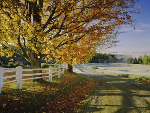 Fall foliage in Vermont