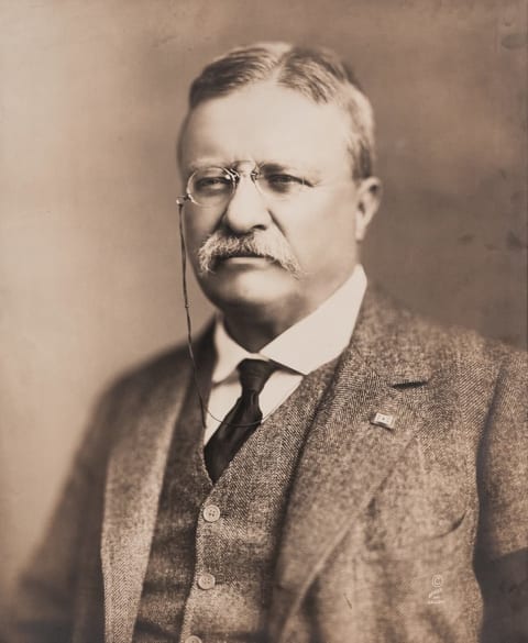 Portrait of Theodore Roosevelt, circa 1918.