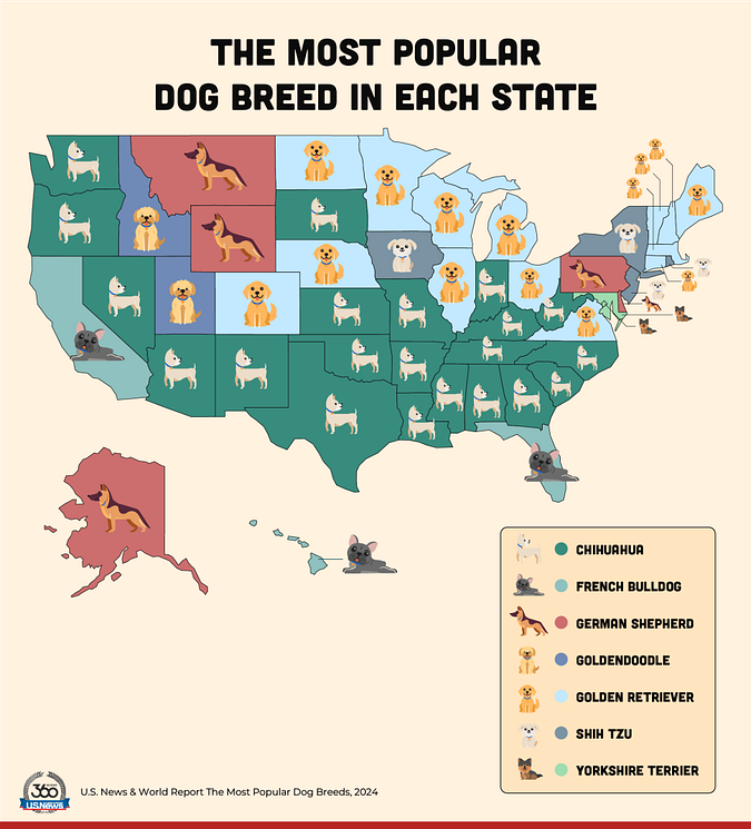 The Most Popular Dog Breed in Each U.S. State