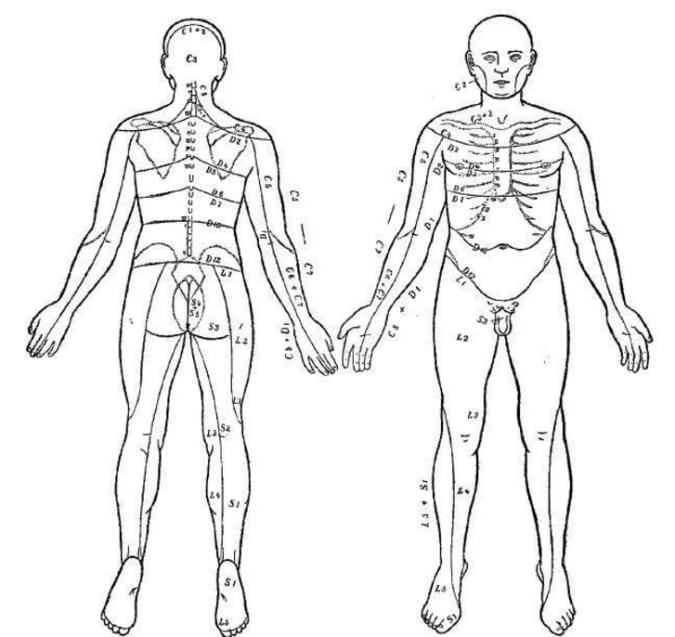 Our Skin Is Covered With Invisible Stripes | Mental Floss