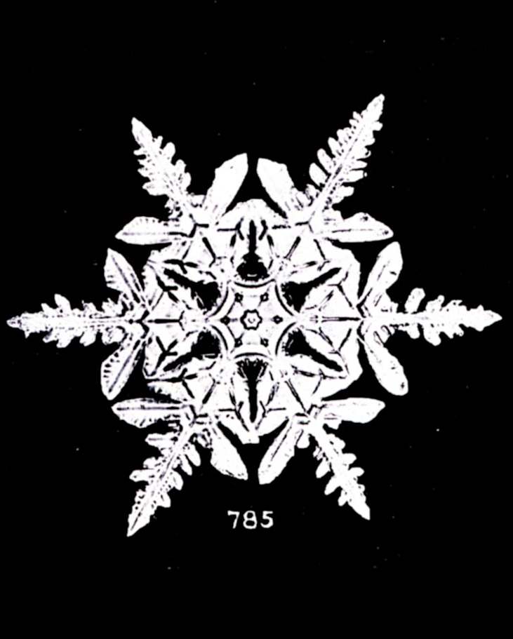 Wilson A. Bentley: The Man Who Photographed Snowflakes | Mental Floss