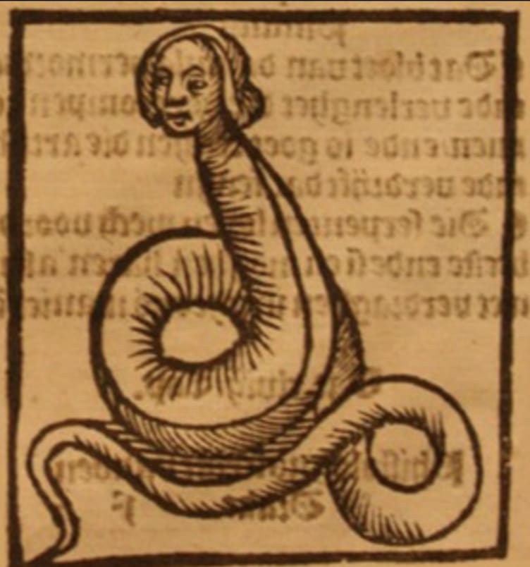 44 Images From Bestiaries That Show Just How Strange These Medieval Animal Encyclopedias Were